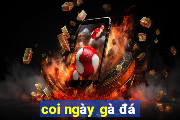 coi ngày gà đá