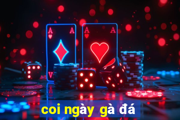 coi ngày gà đá