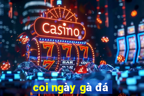 coi ngày gà đá