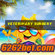 veterinary surgery