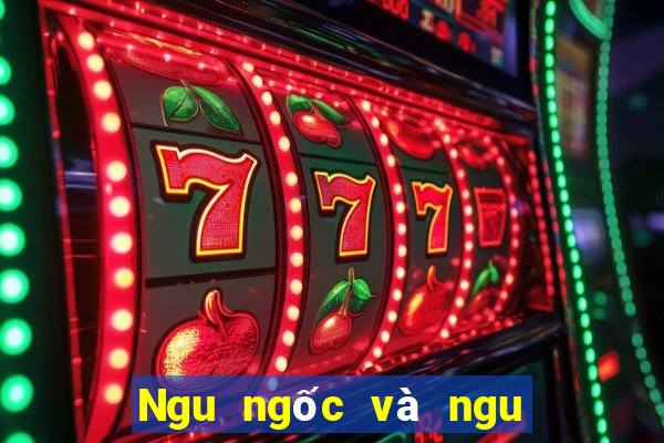 Ngu ngốc và ngu ngốc giải trí