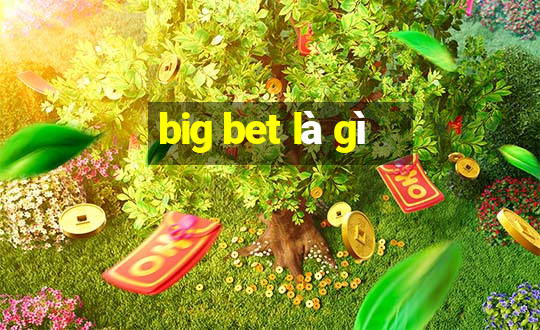 big bet là gì