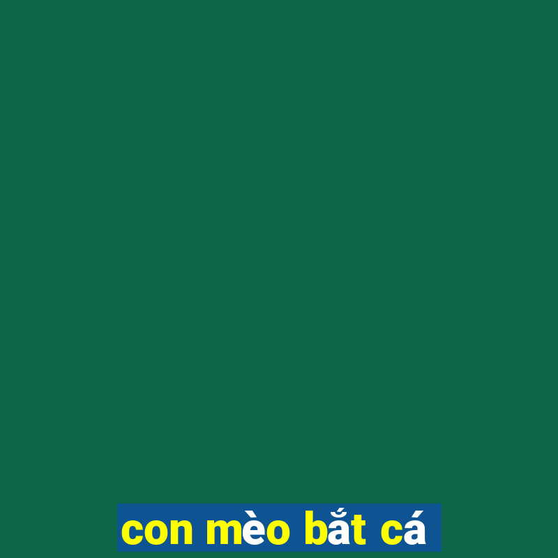 con mèo bắt cá