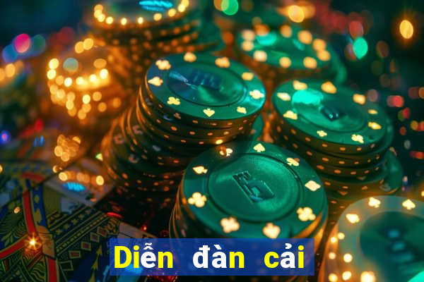 Diễn đàn cải bó xôi wed Bắp cải