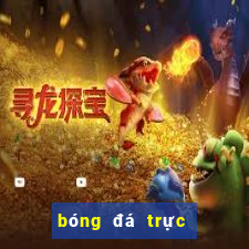 bóng đá trực tiếp xôi lạc tv