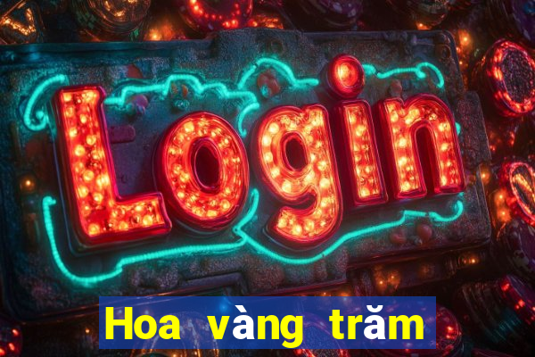 Hoa vàng trăm người chiên v1.3