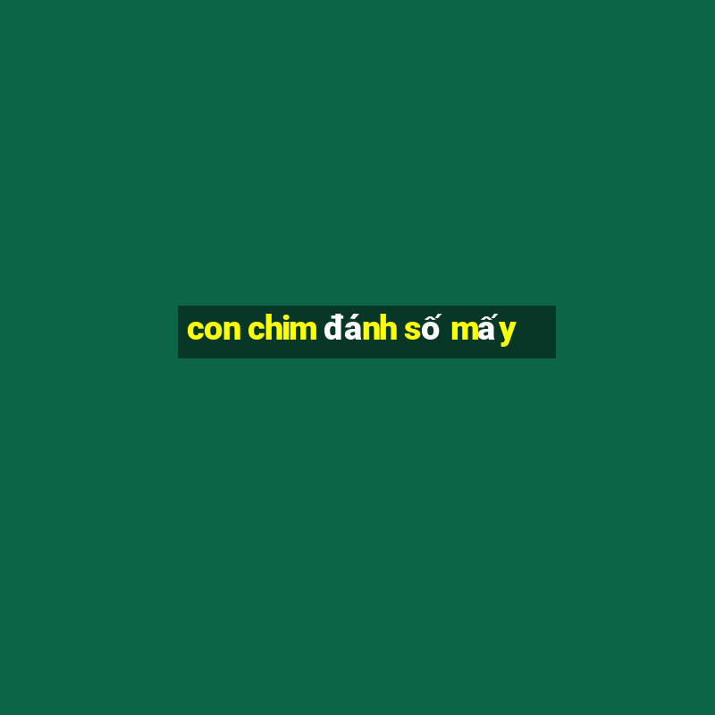 con chim đánh số mấy