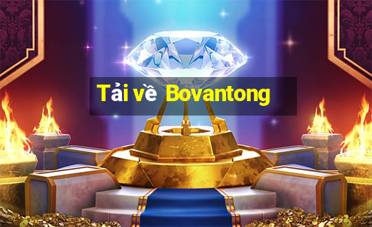 Tải về Bovantong