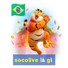 socolive là gì