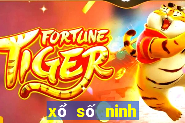 xổ số ninh thuận 10 ngày