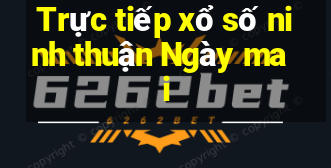 Trực tiếp xổ số ninh thuận Ngày mai