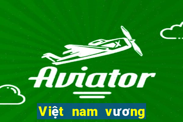 Việt nam vương miện adc