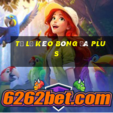 tỷ lệ kèo bóng đá plus