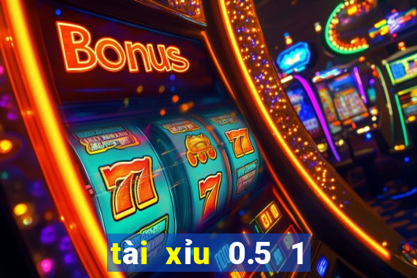 tài xỉu 0.5 1 là gì