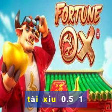 tài xỉu 0.5 1 là gì