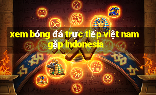 xem bóng đá trực tiếp việt nam gặp indonesia