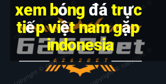 xem bóng đá trực tiếp việt nam gặp indonesia