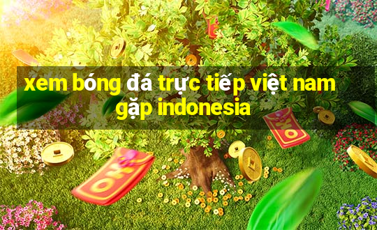 xem bóng đá trực tiếp việt nam gặp indonesia