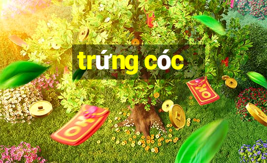 trứng cóc