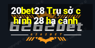 20bet28 Trụ sở chính 28 hạ cánh