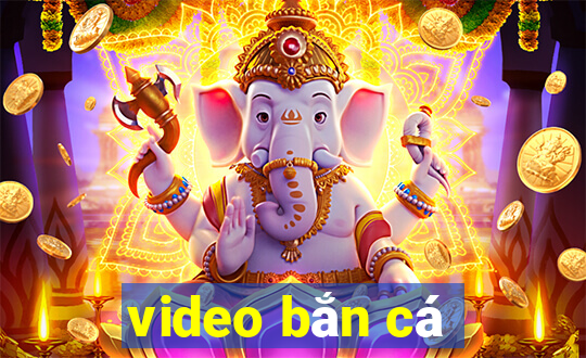 video bắn cá