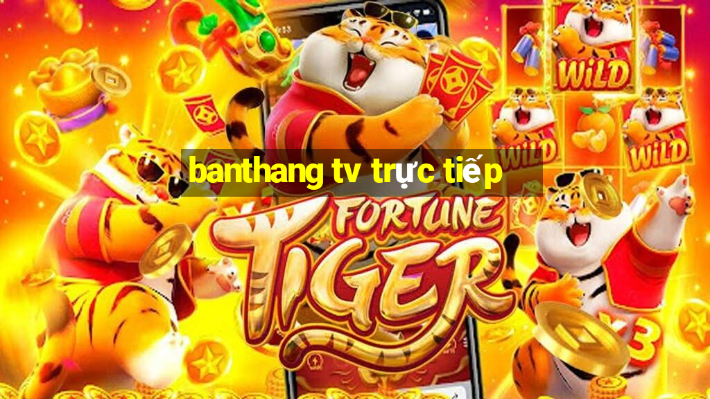 banthang tv trực tiếp