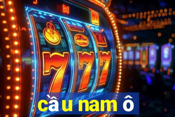 cầu nam ô