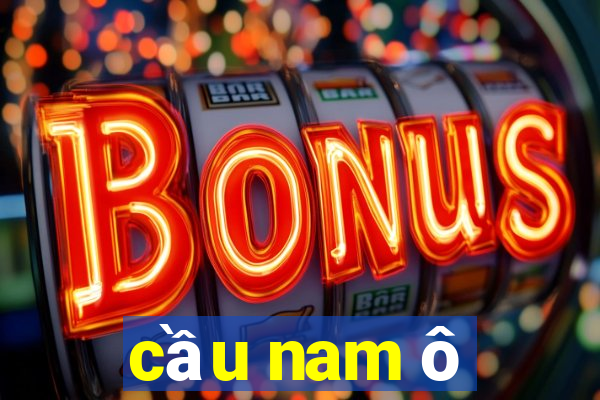 cầu nam ô