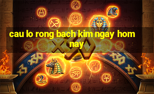 cau lo rong bach kim ngay hom nay