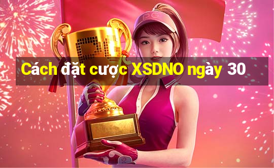 Cách đặt cược XSDNO ngày 30