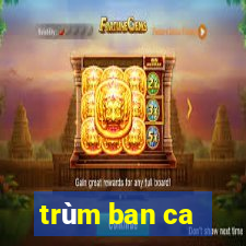 trùm ban ca