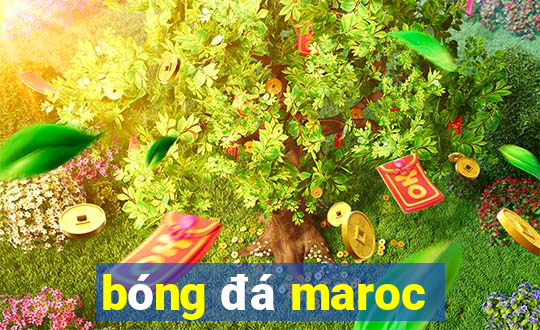 bóng đá maroc