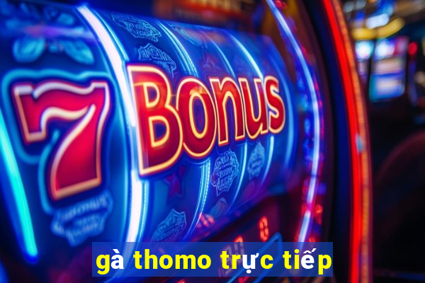 gà thomo trực tiếp