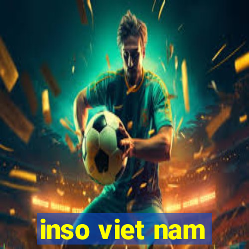 inso viet nam