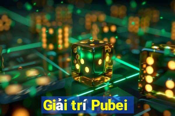 Giải trí Pubei