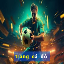 trang cá độ bóng đá fabet