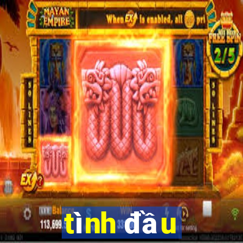 tình đầu