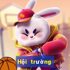 Hội trường agvip Tải về