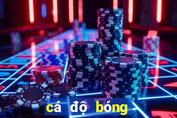 cá độ bóng đá cúp châu Âu 2024