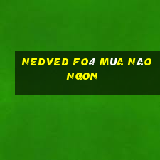 nedved fo4 mùa nào ngon