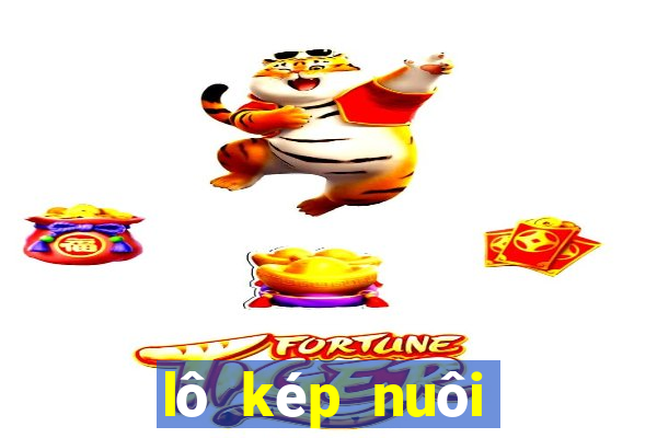 lô kép nuôi trong vòng 3 ngày