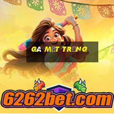 gà mắt trắng