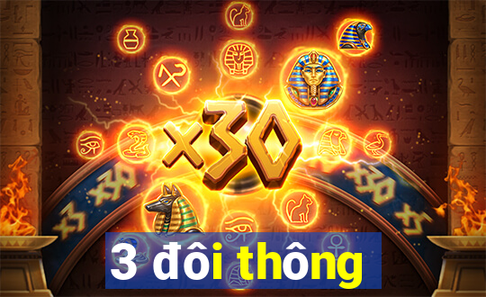 3 đôi thông