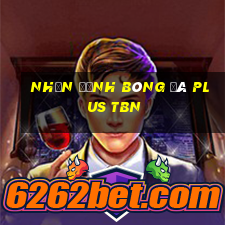 nhận định bóng đá plus tbn