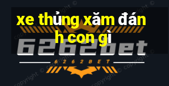 xe thủng xăm đánh con gì