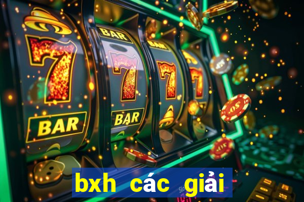 bxh các giải vô địch quốc gia châu âu