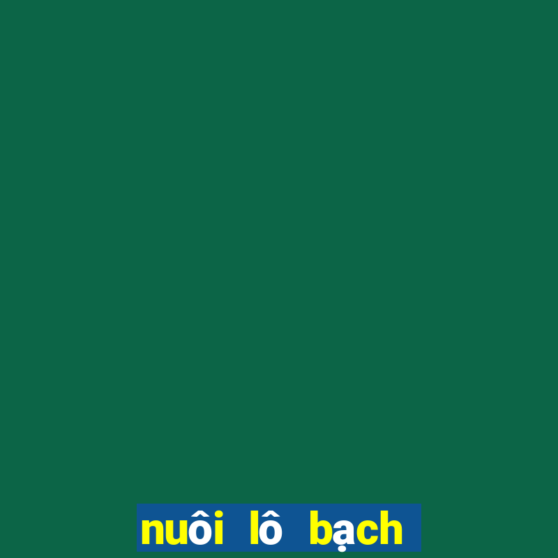 nuôi lô bạch thủ 3 ngày