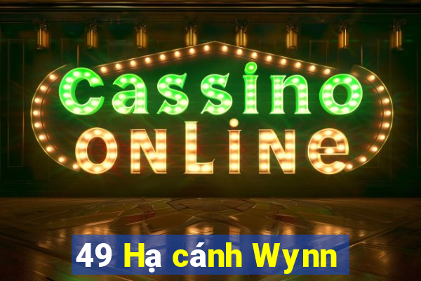 49 Hạ cánh Wynn