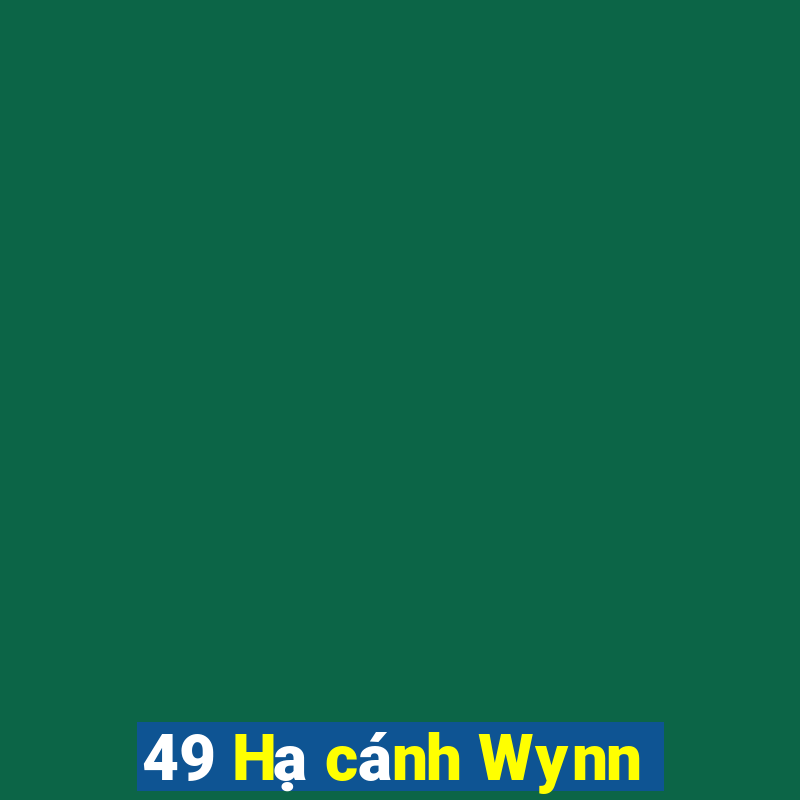 49 Hạ cánh Wynn