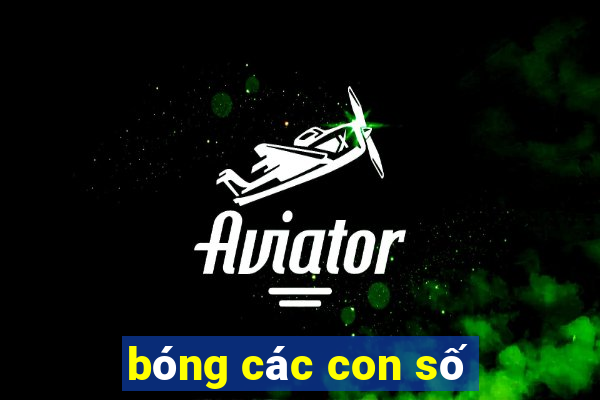 bóng các con số